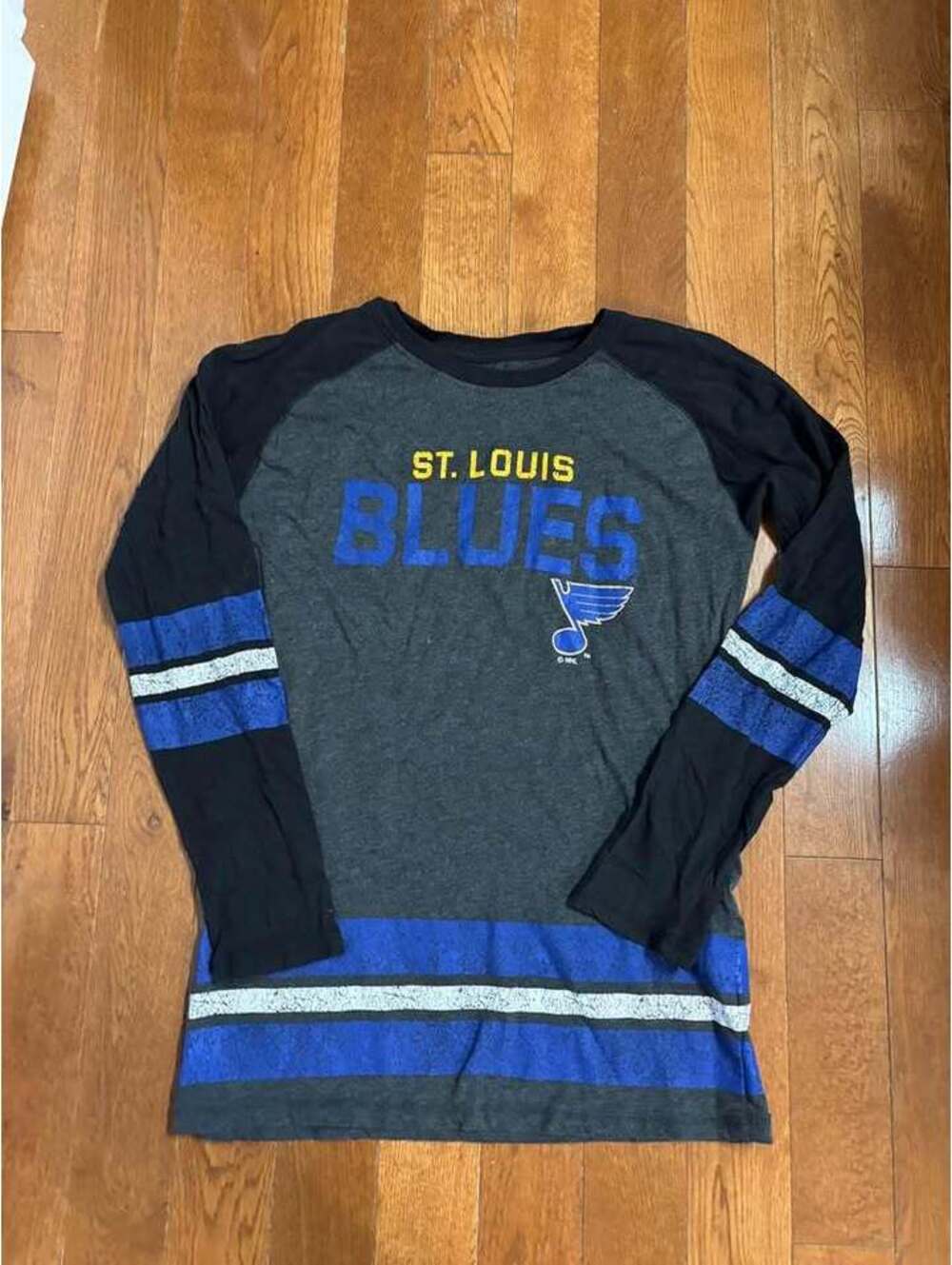 Blues Champion Long-Sleeve Shirt size Medium.

Flawless condition.